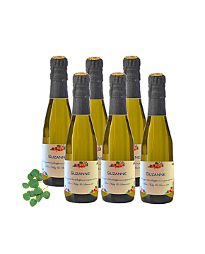 6 Mini Bottles of Personalised Prosecco - Customise & Decorate For Any Occasion