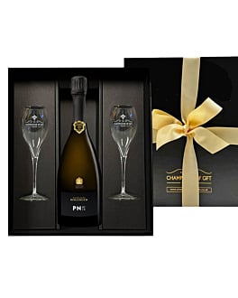 Bollinger PN TX20 Champagne & Flutes Gift Set