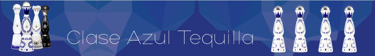 casa-azul-banner